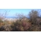 Земельный участок 9, 44 сотки  в Феодосии с видом на залив